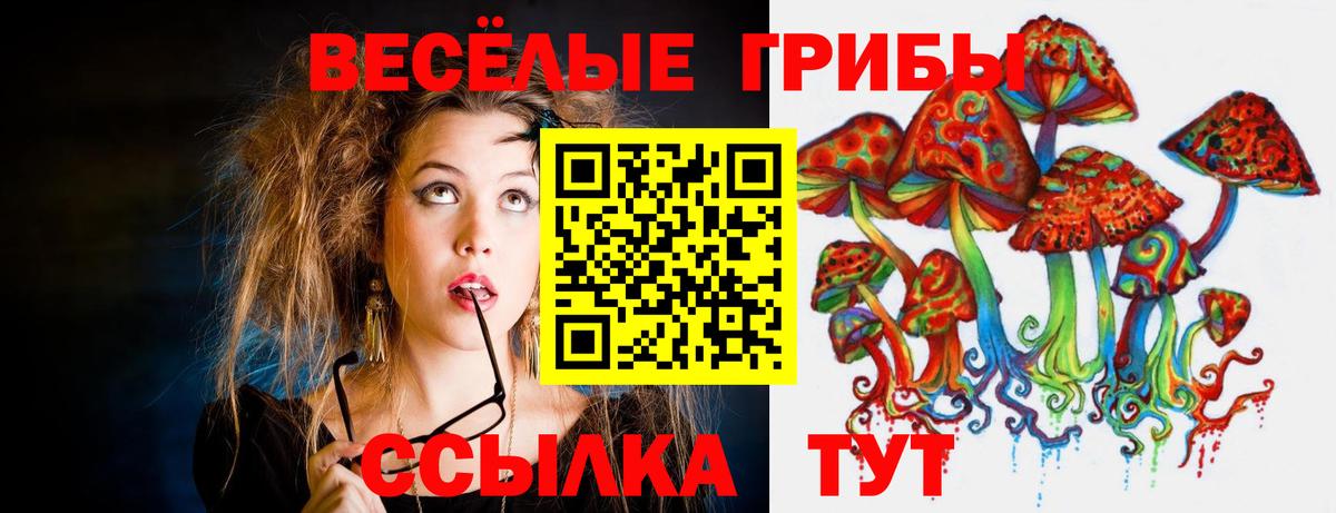 Псилоцибиновые грибы GOLDEN TEACHER  Вход с VPN  Галлюциногенные грибы прущие грибы  Усть-Илимск 